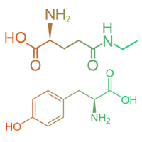 L-Theanine & L-Tyrosine