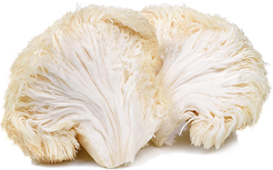 Lions Mane Mushroom Ingredients