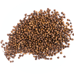 Grains of Paradise Ingredients